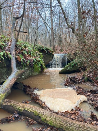 Compare the Riffle Waterfall winter photo below (taken Dec. 27, 2023) to the summer photo above (taken Aug. 08, 2023)