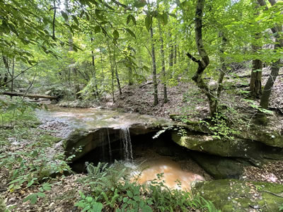 A photo of the Riffle Waterfall (Riffle Falls) rock formation near Cottageville and Millwood, West Virginia