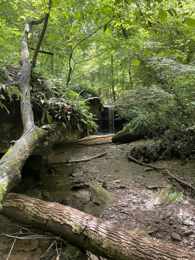 A beautiful summer photo of the Riffle Waterfall (Riffle Falls) near Cottageville and Millwood, West Virginia