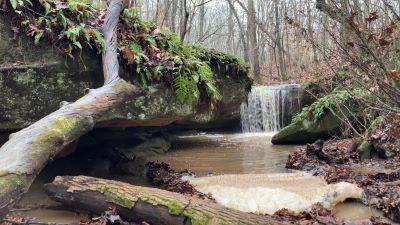 video clip of the 8 foot waterfall at Riffle Falls in Cottageville, WV