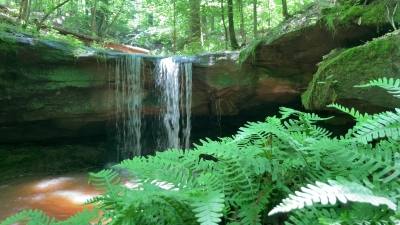 video clip of the 8 foot waterfall at Riffle Falls in Cottageville, WV