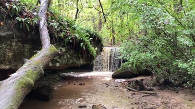 video clip of the 8 foot waterfall at Riffle Falls in Cottageville, WV
